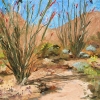 Consider the Ocotillo