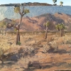 Joshua Tree Highlands